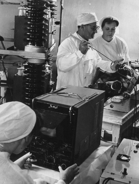 Н.Л. Гурвич проводит эксперимент по дефибрилляции. Москва, лаборатория перенапряжений Всесоюзного электротехнического института, не позднее 1960 г.