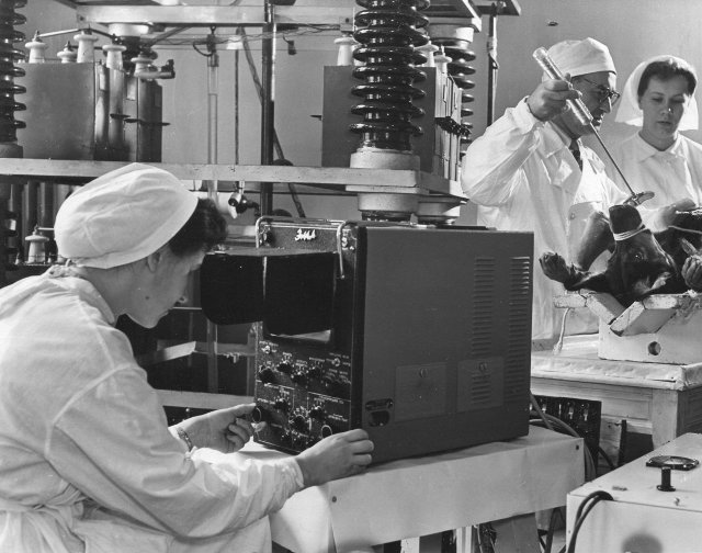 Н.Л. Гурвич проводит эксперимент по дефибрилляции. Москва, лаборатория перенапряжений Всесоюзного электротехнического института, не позднее 1960 г.
