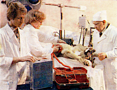 ����������� �� ������������� ������������� ������ (�������� ��� ���� �.�. ���������, ������� ���������� �.�. ��������� � �.�. ���������). ��: ������-����������������� ����������� ����� �������������� (��������). � 	������: ��������, 1984. �. 12.